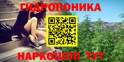 тгк Можга